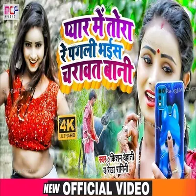 Pagli Tora Pyar Me Bhais Charawat Bani Cover