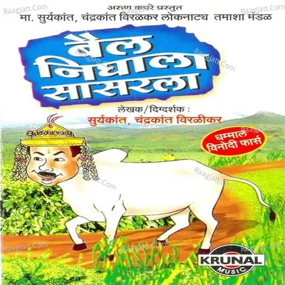 Bail Nighala Sasarla Poster