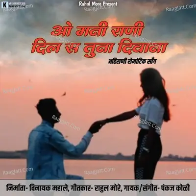 O Mani Rani Dil Sa Tuna Diwana Cover