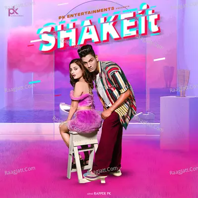 Shake It Cover
