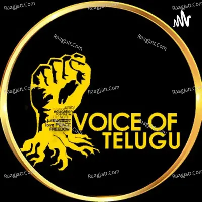 Voice Of Telugu - season - 1 - Naren