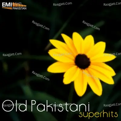 Old Pakistani Super Hits - Noor Jehan