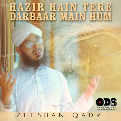 Hazir Hain Tere Darbaar Main Hum - Single Cover