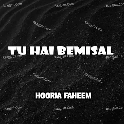 Tu Hai Bemisal Poster