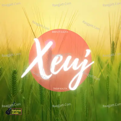 Xeuj Cover