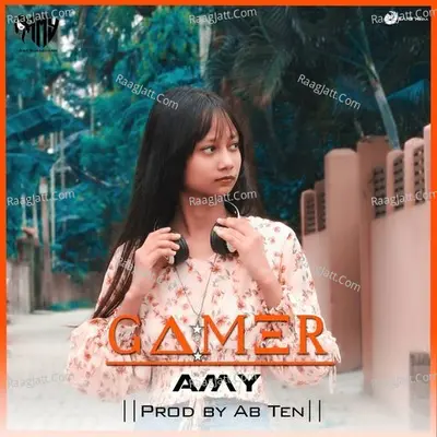 Gamer Cover