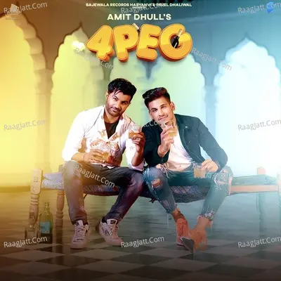 4 Peg Cover