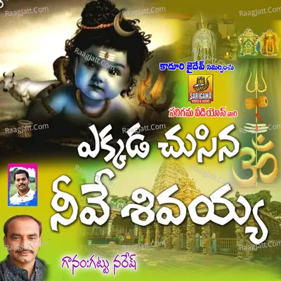 Ekkada Chusina Nuvve Shiva