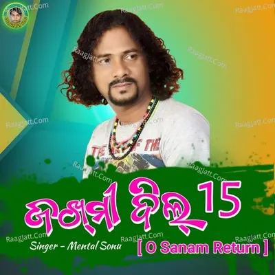 O Sanam Return (Zakhmi Dil 15) Cover
