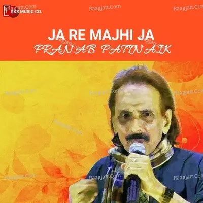 Pranab Pattnaik Image