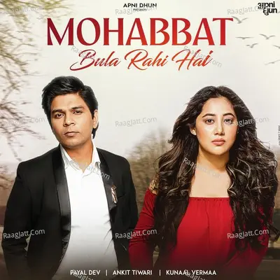 Mohabbat Bula Rahi Hai Cover