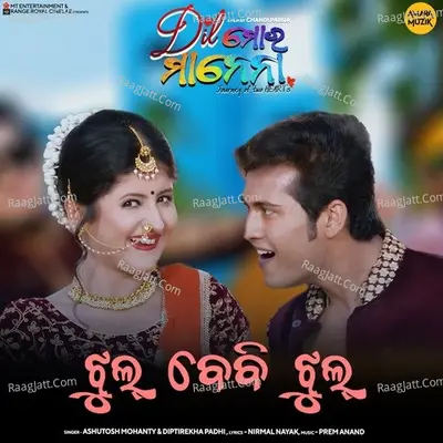 Jhul Baby Jhul (From "Dil Mora Manena") Cover