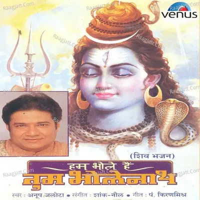 Hum Bhole Hain Tum Bholenaath Poster
