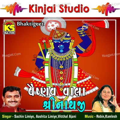 Vaishnav Vala Shreenathji Poster