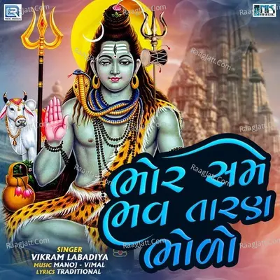 Vikram Labadiya Image