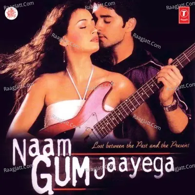 Naam Gum Jaayega - Anand - Milind