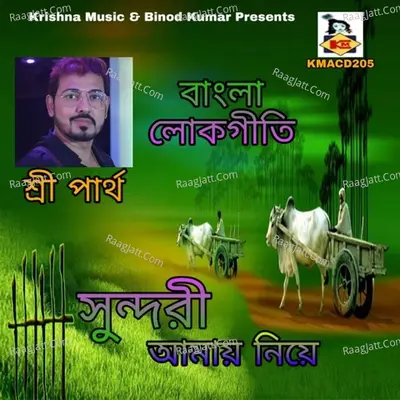 Sundari Aamay Niye - Sree Partho