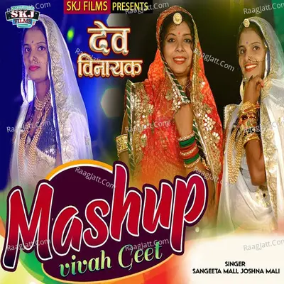 Dev Vinayak Cover