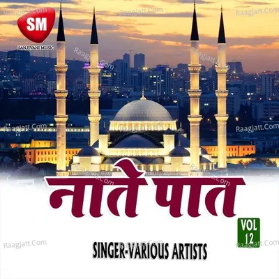 Naate Paat Vol-12 Poster