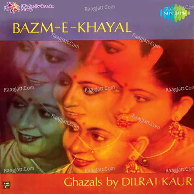 Bazm-e-nishat Poster