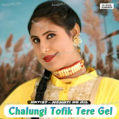 Chalungi Tofik Tere Gel Poster