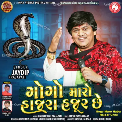 Gogo Maro Hajra Hajoor Chhe Cover