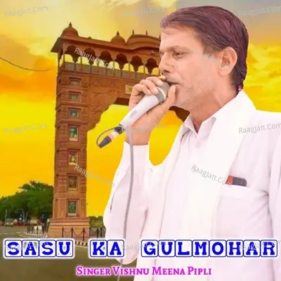 Vishnu Meena Pipli