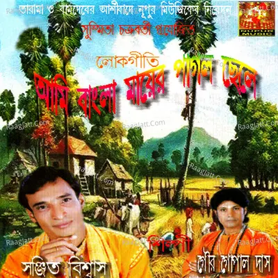 Ami Bangla Mayer Pagol Chele Poster