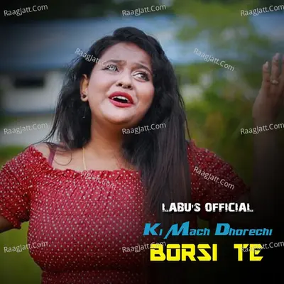 Ki Mach Dhorechi Borsi Te Cover