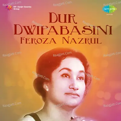 Dur Dwipabasini Poster