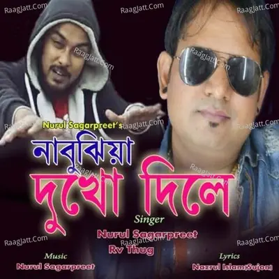 Nabujhia Dokho Dile Cover