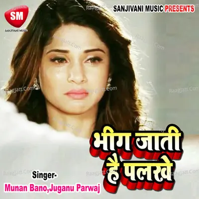Bhig Jati Hai Palke-Hindi Lok Geet - Munan Bano