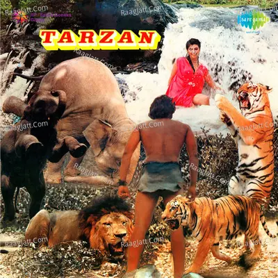 Tarzan Poster