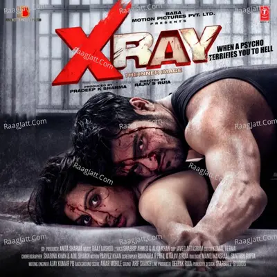 X-Ray - The Inner Image Poster