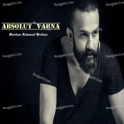 Absolut Vabna Poster