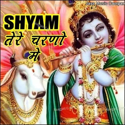 Shyam Tere Charno Main - Naresh Narsi