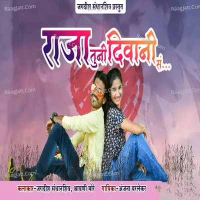 Raja Tuni Diwani Sa Cover