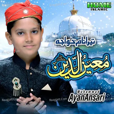 Muhammad Ayan Ansari