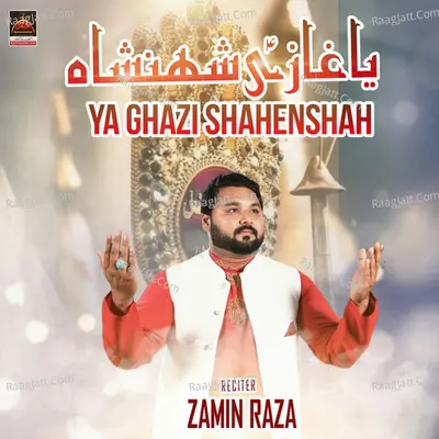 Zamin Raza Image