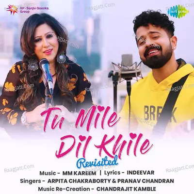 Tu Mile Dil Khile - Revisited Cover