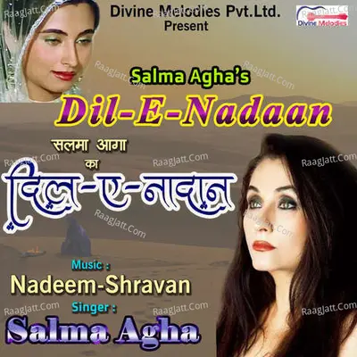 Dil E Nadan Poster