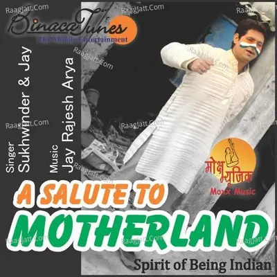 A Salute To Motherland Poster