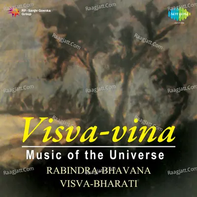 Visva Vina Music Of The Universe Poster