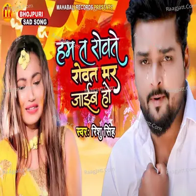 Ham Ta Rowate Rowat Mar Jayib Ho Cover