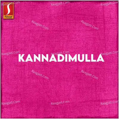 Kannadimulla (Original Motion Picture Soundtrack) - Thaju Ponnani