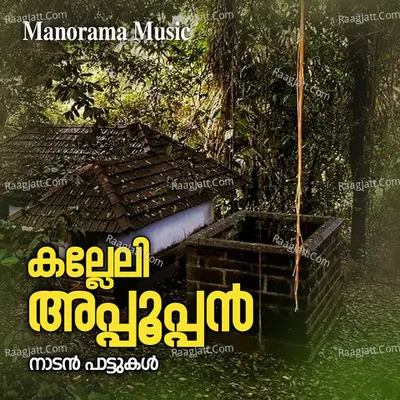 Kalleli Appooppan Poster