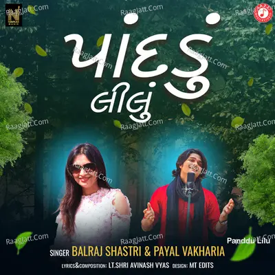 Panddu Lilu Cover