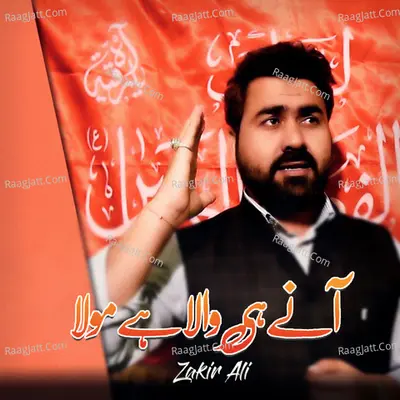 Zakir Ali