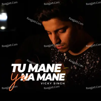Tu Mane Ya Na Mane Cover