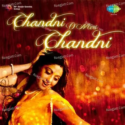 Chandni O Meri Chandni - Saikat Mukherjee